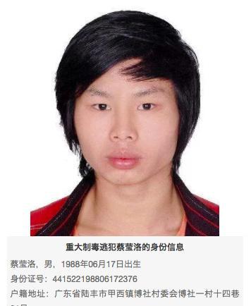 全网通缉!陆丰警方悬赏100万元缉捕在逃毒犯蔡莹洛!