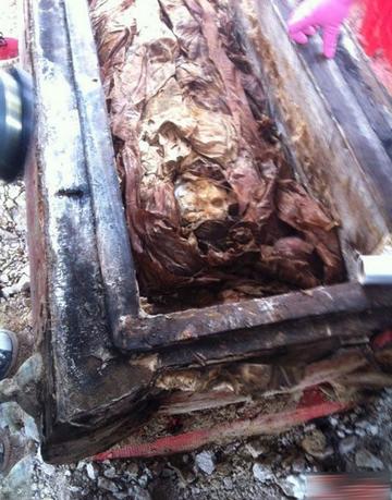 生前清清白白死后49年被开棺戮尸他到底得罪了谁