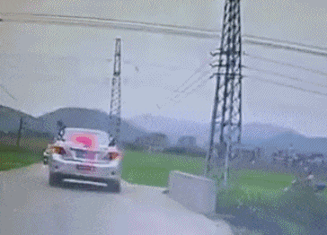 364_262gif 动态图 动图