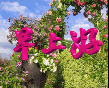 早上好动态情图片大全早安问候语