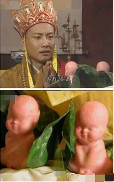 人参果?傻傻分不清楚,到底谁才是人参的实在亲戚?