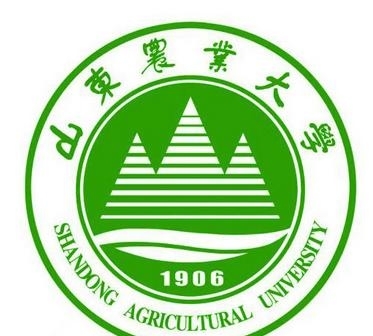 2017年山东省教学质量最好的10所大学,排名出