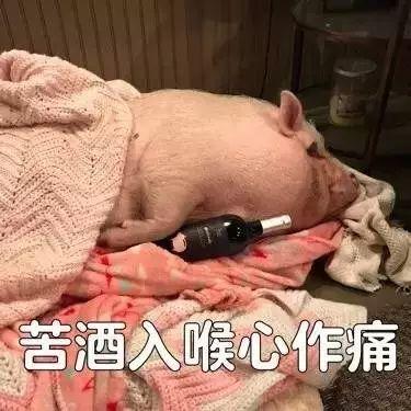 谁说猪都好吃懒做,表情包里的它们简直是万能萌神