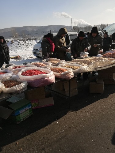 带你逛逛东北大集,冰天雪地里卖的全是冻货,坚硬如铁似武器!