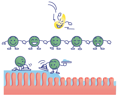 胃肠黏膜是养好的你可能就差这一步