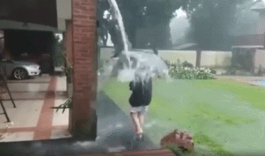 381_225gif 动态图 动图