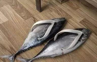 还有意义不明的人字拖.你给我几块钱的凉拖鞋.
