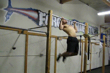 动作三：蝶式引体向上