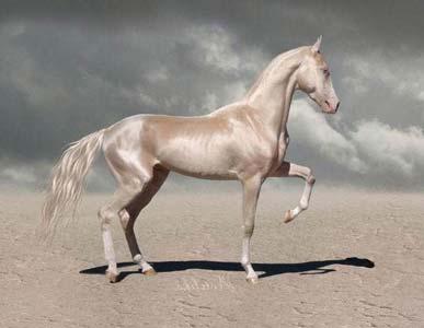 《汉书》记载,大宛国贰师城附近有一座高山,山上生有野马,奔跃如飞