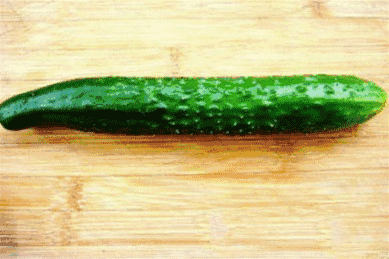 蓑 衣 黄 瓜▽还 能 这 么 来▽这 么 来▽教过两种别的黄瓜花:美食吃