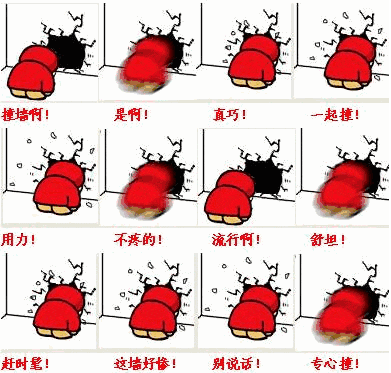 我想撞墙,大家都这么拼命,撞个墙都这么努力