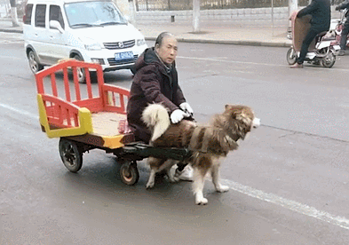 393_276gif 动态图 动图