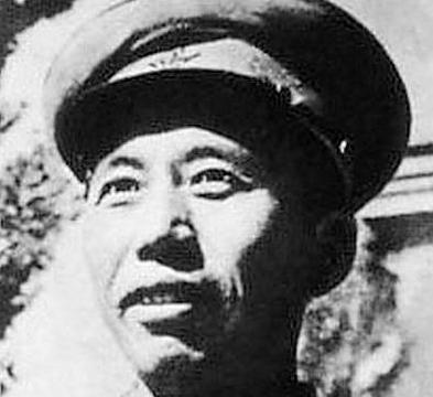 开国上将王震“铁腕”治新疆|王震|新疆|铁腕_新浪新闻