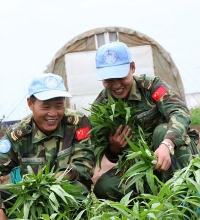 中国维和部队在非洲种菜,人民子弟兵的本色