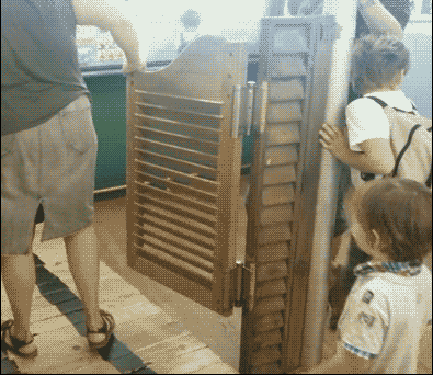 395_342gif 动态图 动图