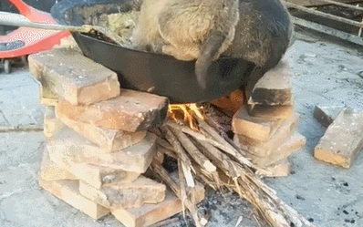 担心吃坏肚子给狗仔煮食,却没想到狗仔直接跳入锅中,让人笑哭!