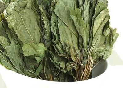 人参地精神农草芦条花叶都是宝