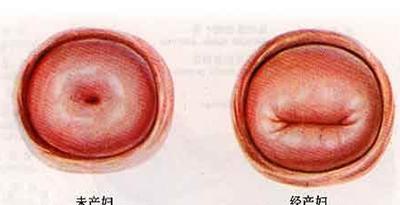 原来生过孩子和没生过孩子的女人区别在这里|孩子|女人|乳房_新浪新闻