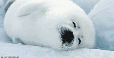 因为不想靠一身正气御寒