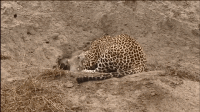 400_224gif 动态图 动图