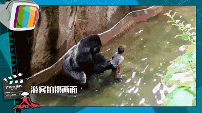 400_225gif 动态图 动图