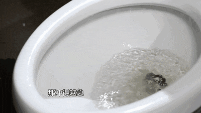 马桶要不要盖盖子, 今天终于有结论了