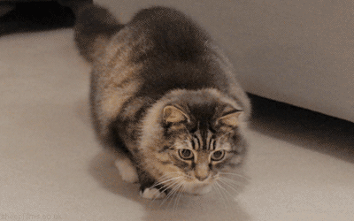400_250gif 动态图 动图