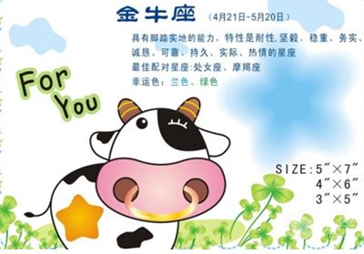 夫唱妇随, 合理分工的金牛座/摩羯座