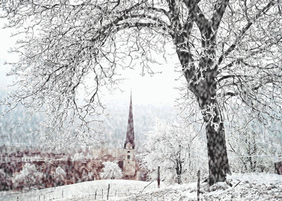 每到寒冬,不冻的江水中升腾的水雾遇冷,在树上凝结为霜花,如梦如幻像