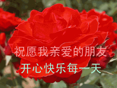 早上好祝您吉祥如意身体健康平安幸福