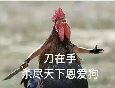 鸡   绝不是一种普通动物   它简直是   神一般的存在   作为表情包
