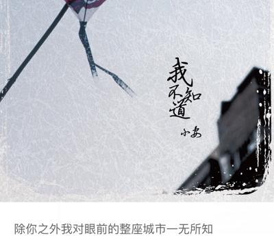 除你之外,我对眼前的整座城市一无所知
