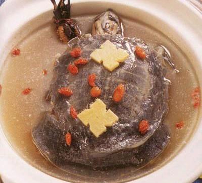 补肾养颜靓汤——淮杞炖水鱼汤