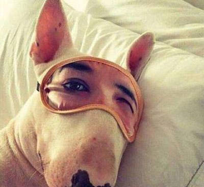 笑出强大我是不是见到了传说中的网红