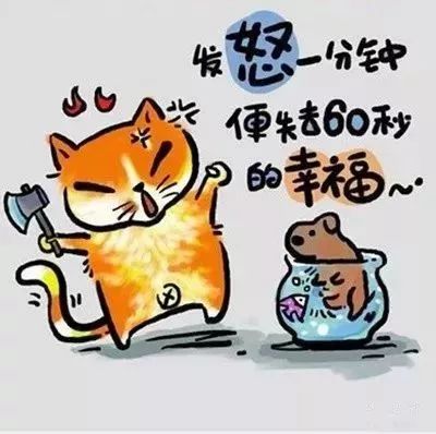 人生歪理,歪的很有道理!