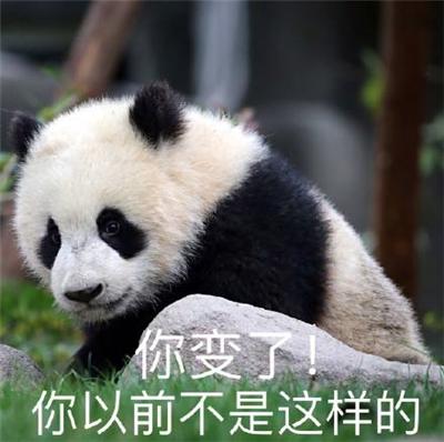 大熊猫表情包套图兽人永不为奴