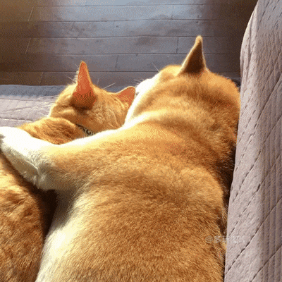 真是粘人的小丫头!