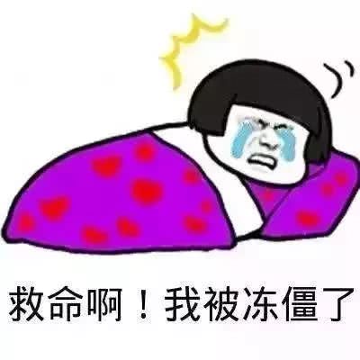 宁波春节气温要飚升到18℃!过完节又要降到2℃,堪比过山车!