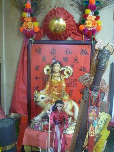 为什么狐仙都姓康胡黄白这四个姓