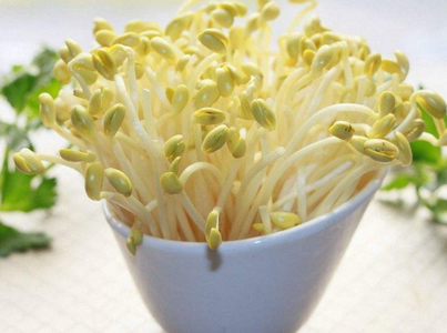 家庭既简单又实用生的豆芽方法,让你春节轻松招待客人