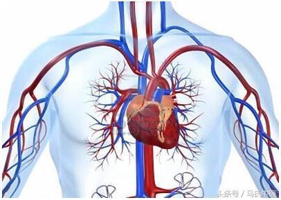 如何远离心脑血管疾病?|疾病|心脑血管|运动_新浪新闻