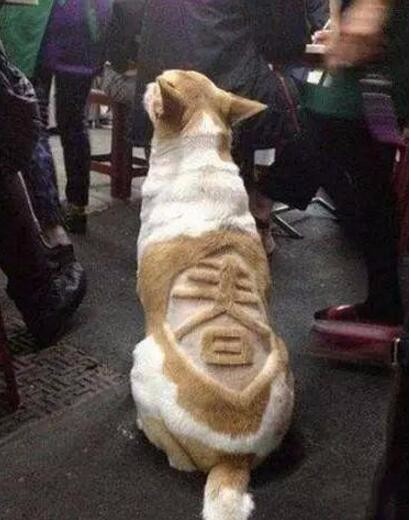 叔叔,我是小,又不傻