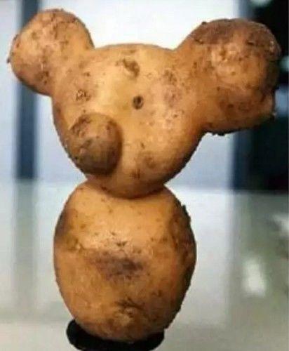 这些长相奇怪的蔬菜,看一个保证你就笑一次