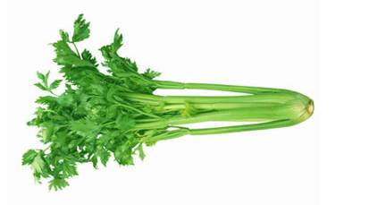 但大多数都把它扔掉了|冠心病|香菜|芹菜叶_新浪新闻