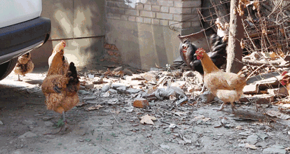 414_220gif 动态图 动图