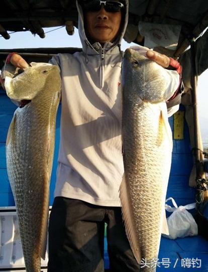 海钓|红古|钓鱼_新浪新闻
