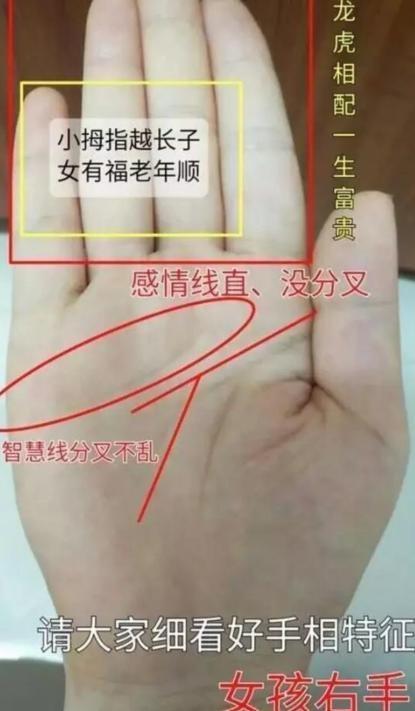 2:这位女士的手相是幸福小女人的手相,丈夫疼爱,子女聪慧,家财小富,小