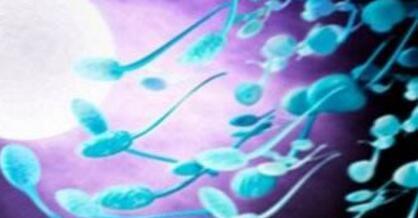 准爸爸吃什么提高精子