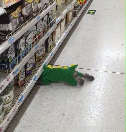 超市内出现了超级搞笑的一幕,乍一看还以为是个熊孩子钻地缝呢!