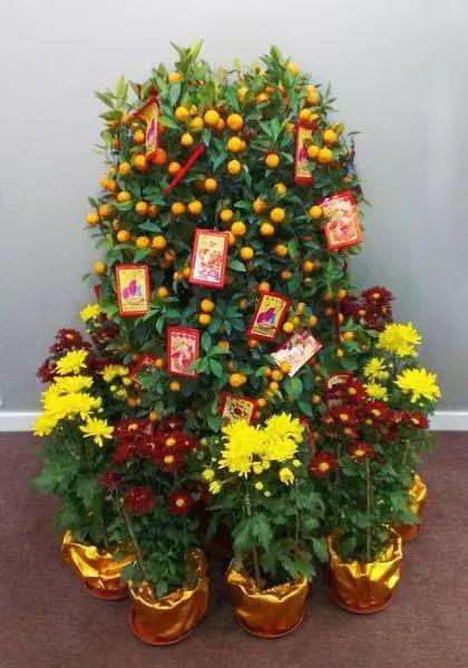 多姿多彩的广州春节|拜年|大桔|春节_新浪新闻